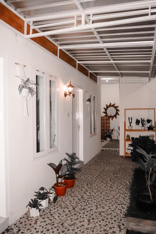 Tropical Paradiso Homestay バニュワンギ エクステリア 写真